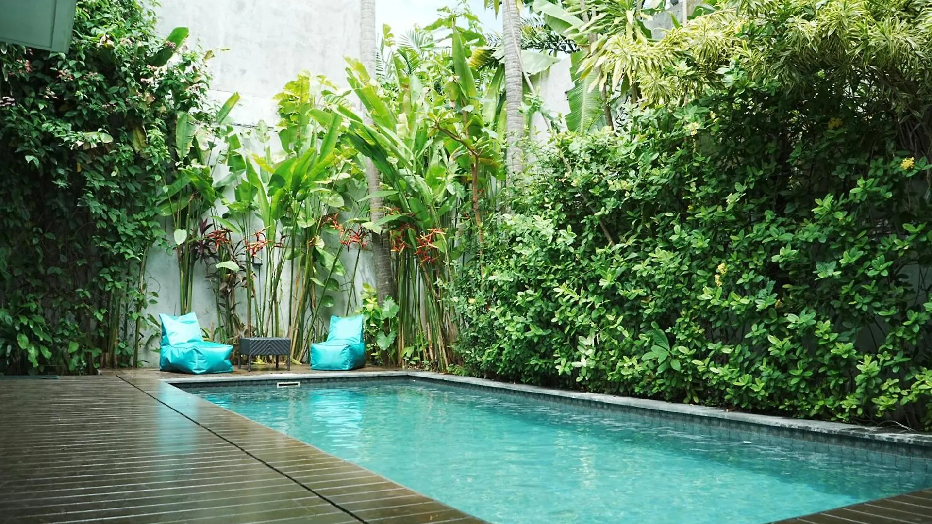 Forena Seminyak Indonesia