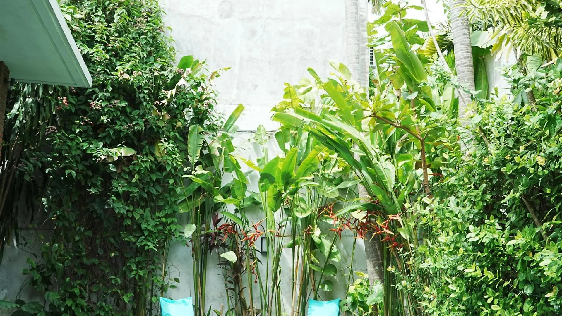 Forena Seminyak 0*, Seminyak (Bali) Indonesia